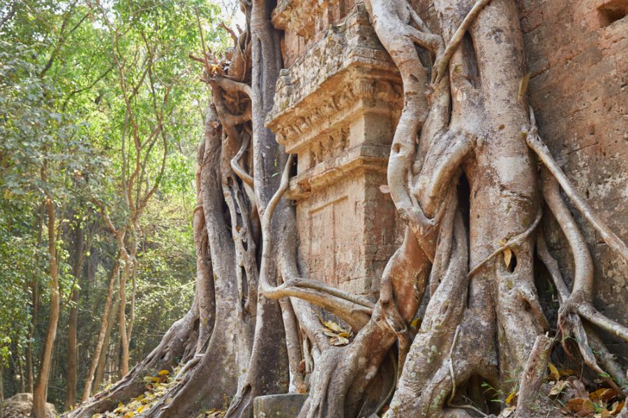 cambodja kampong thom sambor prei kuk tempels