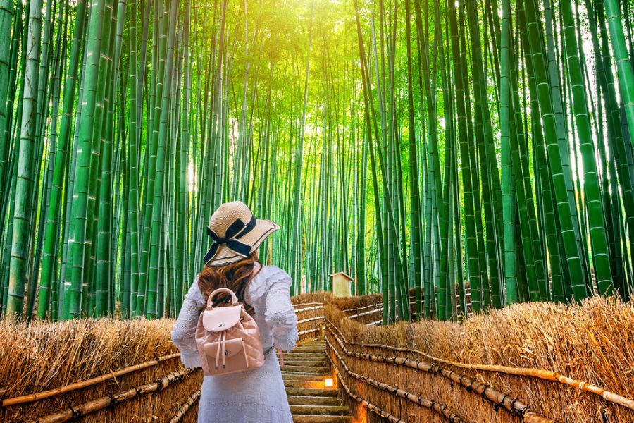 japan kyoto arashiyama bamboo grove