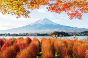 18-Daagse rondreis Verrassend Japan