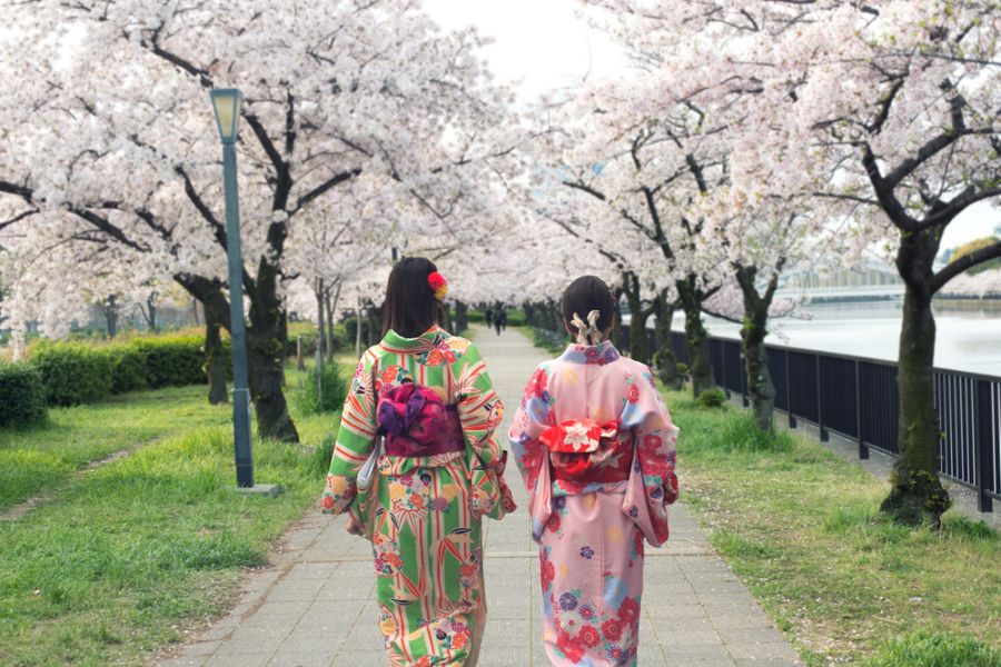 japan osaka sakura garden