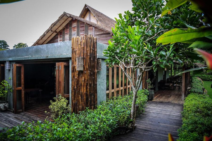 thailand chiang dao azalea village 6
