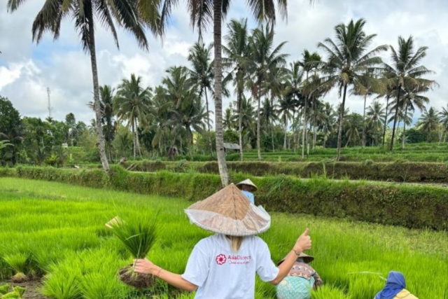 Julie op de rijstvelden op Lombok