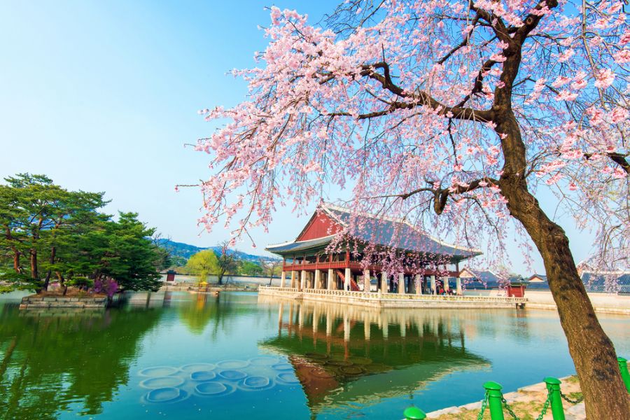 zuid korea seoul gyeongbokgung palace