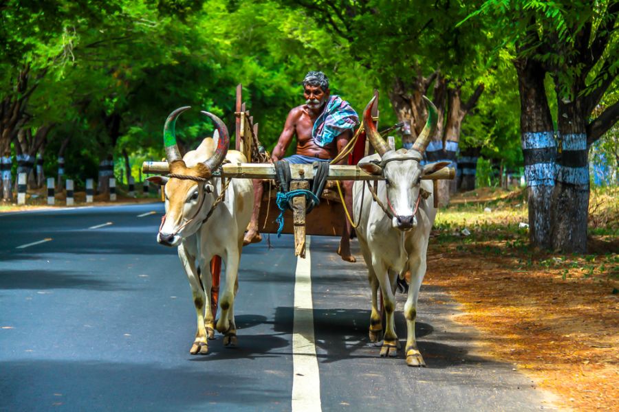 Dag 1: Chennai - Mamallapuram