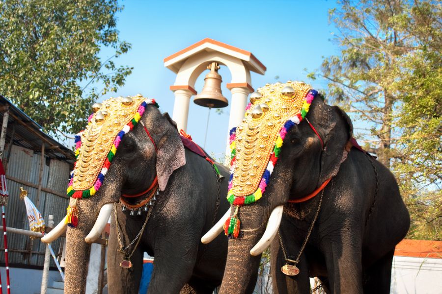 india cochin festival siva tempel olifanten