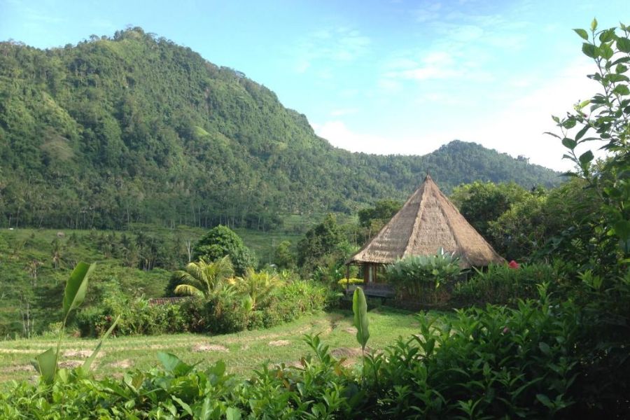 indonesie bali sidemen nirarta center for living awareness 1910