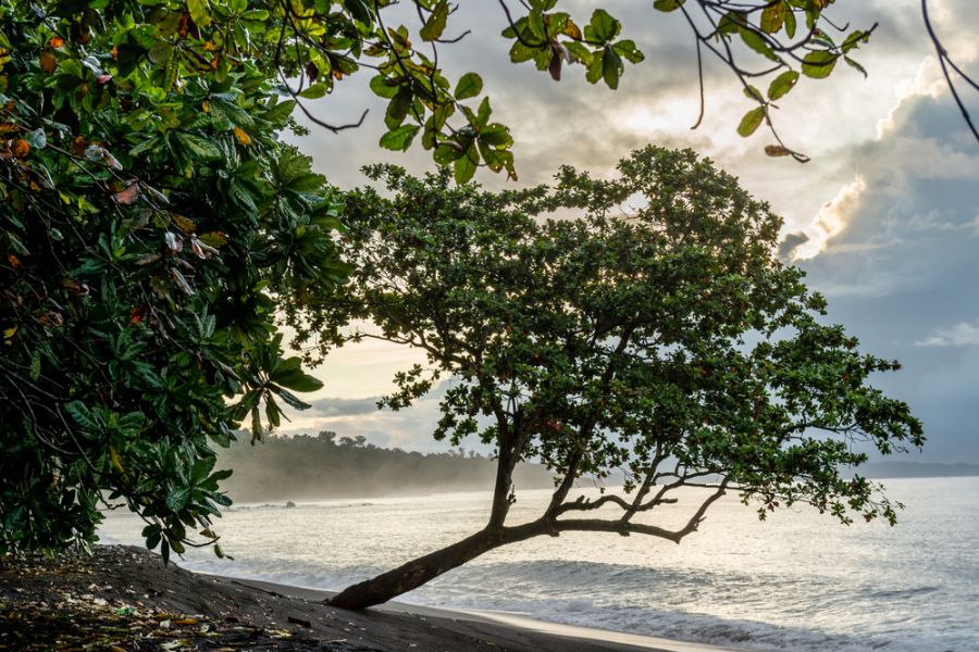 indonesie sulawesi tomohon tangkoko national park zwart strand