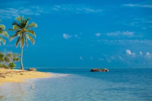 Boek de reis '18-Daagse Hotdeal Sri Lanka Highlights & Beach (Oost)'