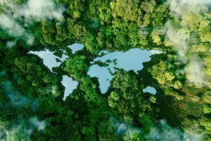 Blog artikel 'Wanneer is een hotel ecovriendelijk?'