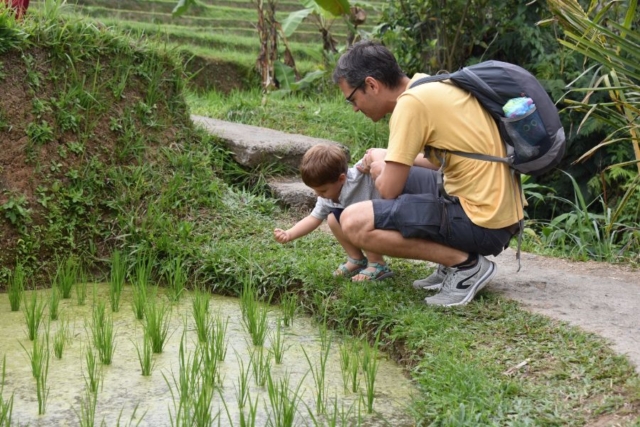 Reizen met kinderen: Bali