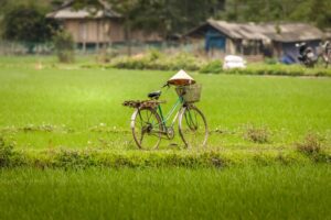 17-Daagse rondreis Duurzaam Vietnam