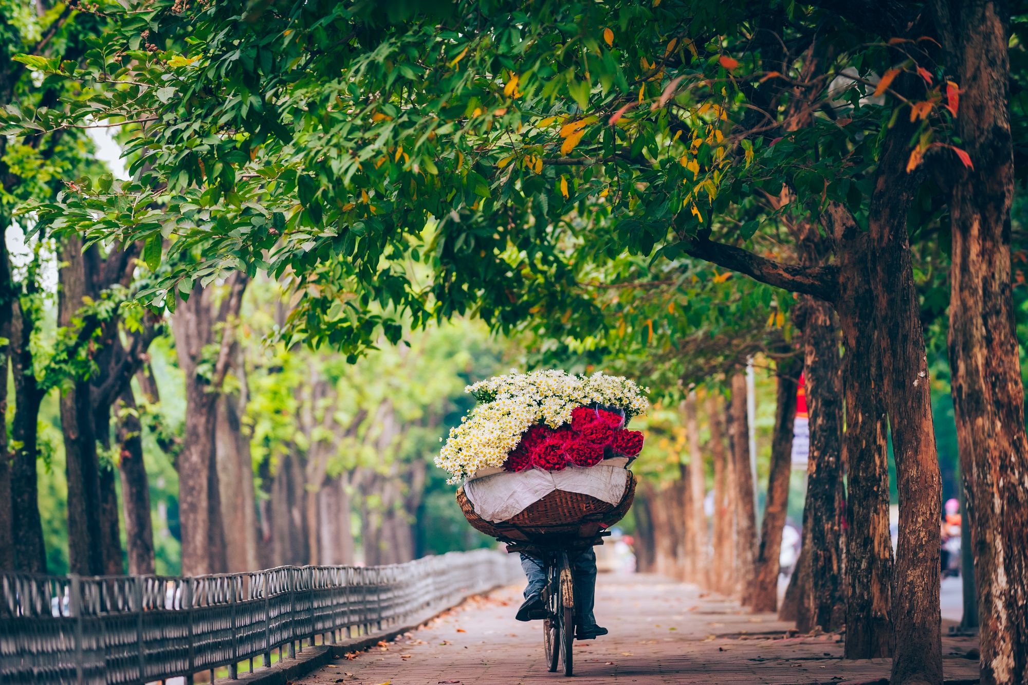 vietnam hanoi bloemenverkoper groot