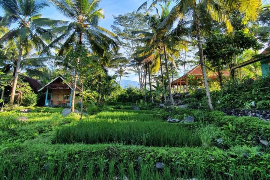 indonesie bali sidemen darmada eco resort 3980
