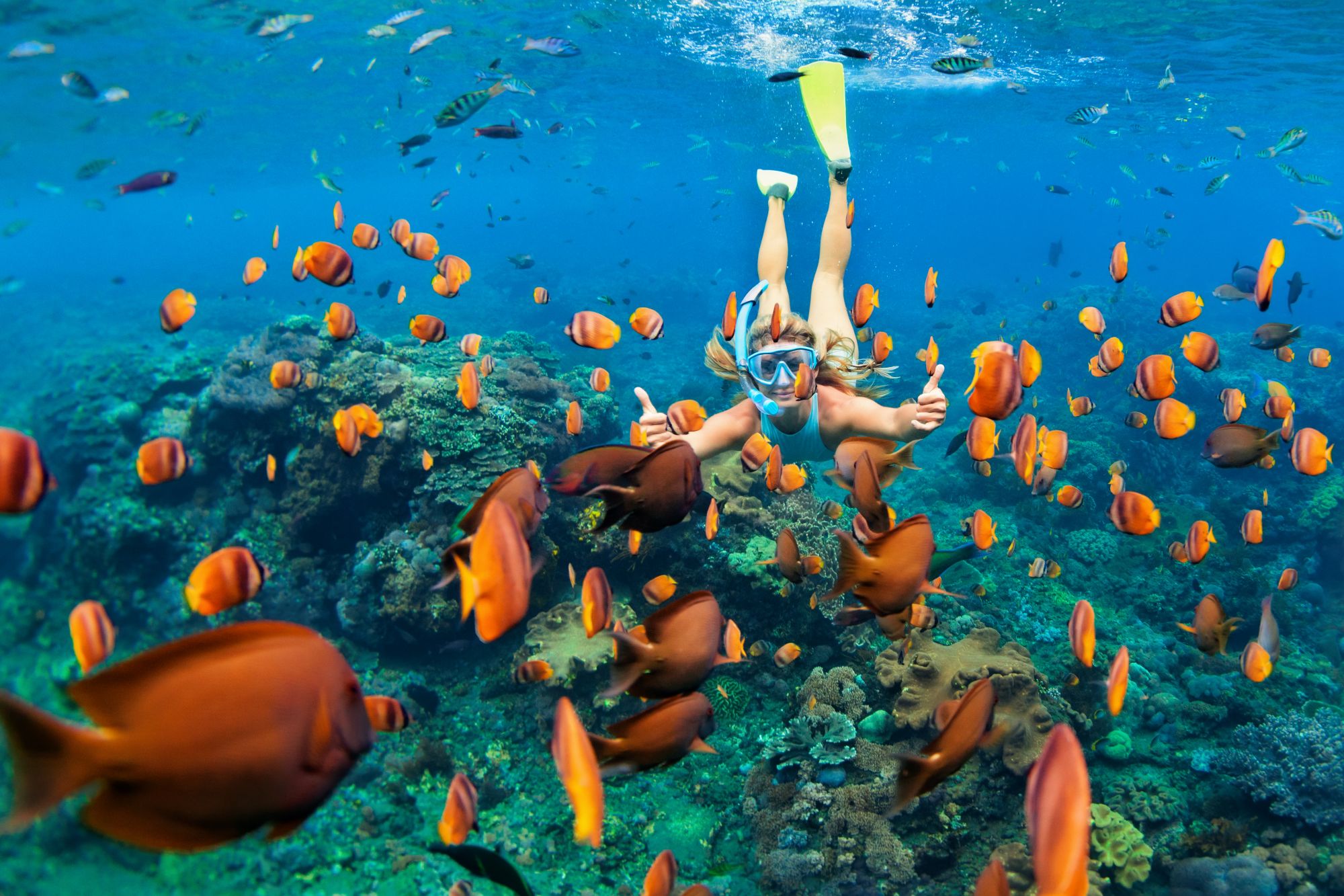 thailand snorkelen groot
