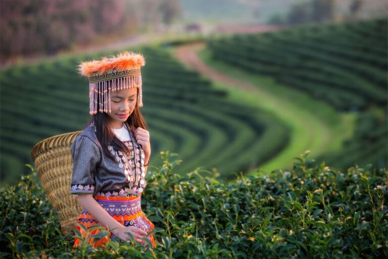 Chiang Rai