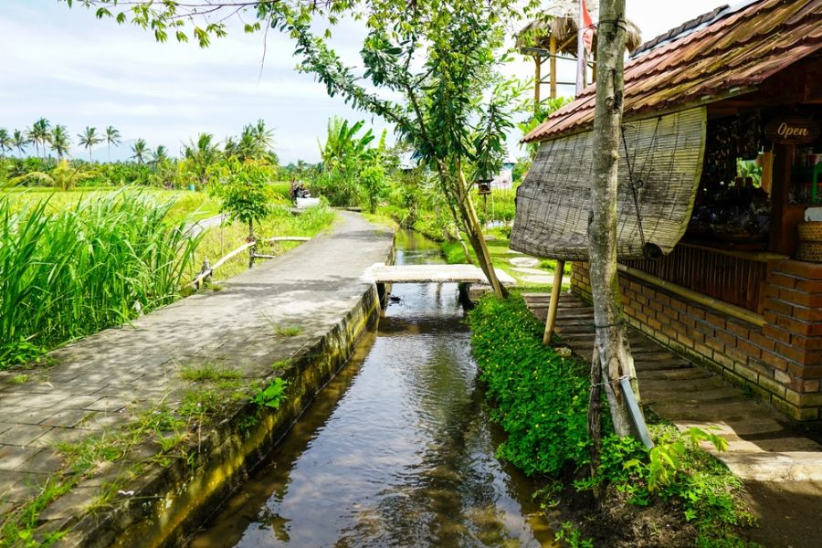 Subak irrigatie van de rijstvelden