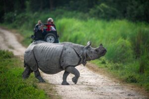 11-daagse rondreis Verborgen Schatten van Noordoost-India