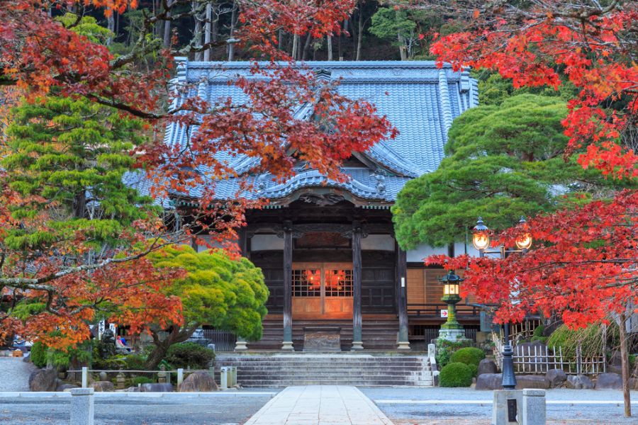 Dag 1: Aankomst in Shuzenji