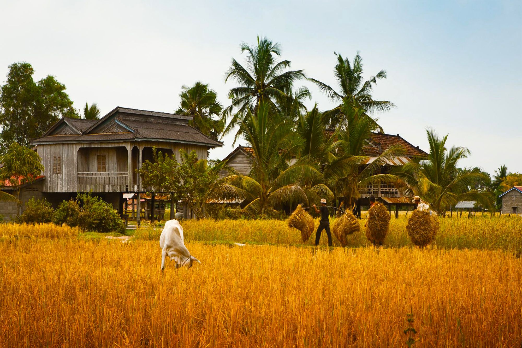 Blog artikel '10 Tips voor Cambodja'