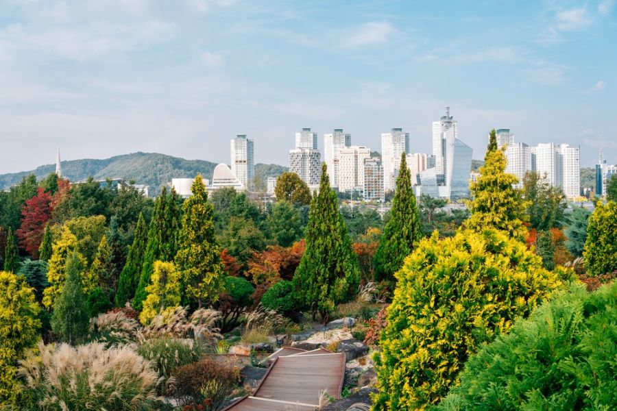 Dag 6: Seoul - Daejeon