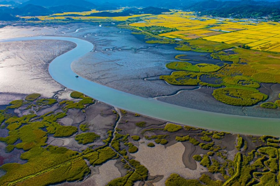 Dag 9: Jeonju - Suncheon