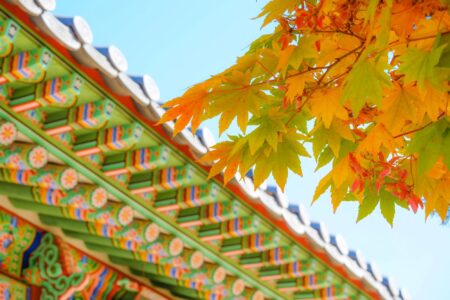 Gerelateerde tour Templestay (Logeren in een Koreaanse tempel)