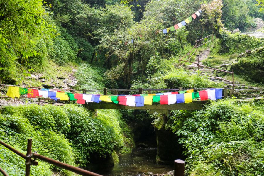 Poon Hill trektocht - Ulleri