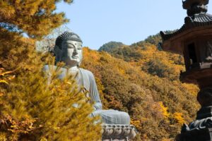 22-daagse rondreis Self-drive Zuid-Korea