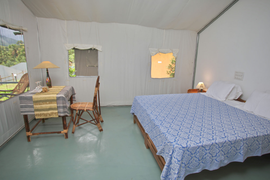 Birds Murmur Camp