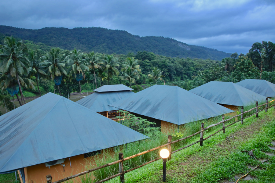 Birds Murmur Camp