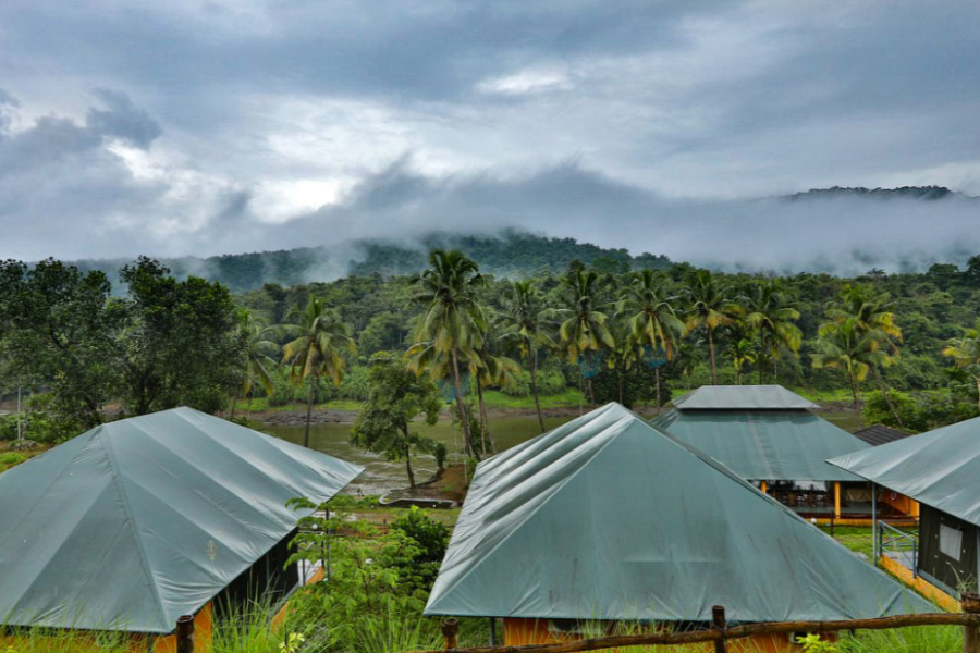 Birds Murmur Camp