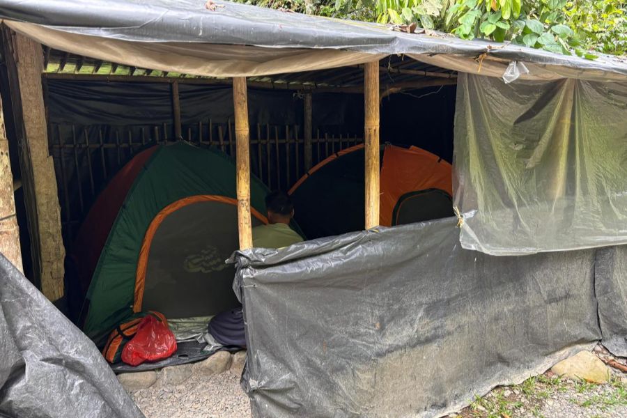 Bukit Lawang jungle trekking