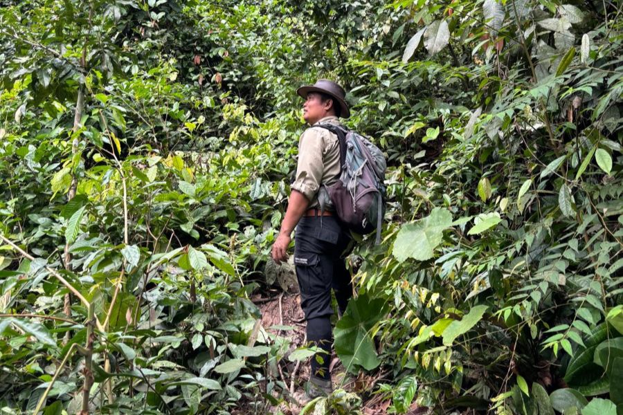 Bukit Lawang