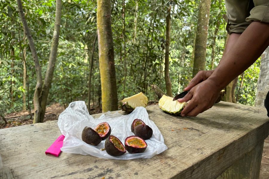 Bukit Lawang