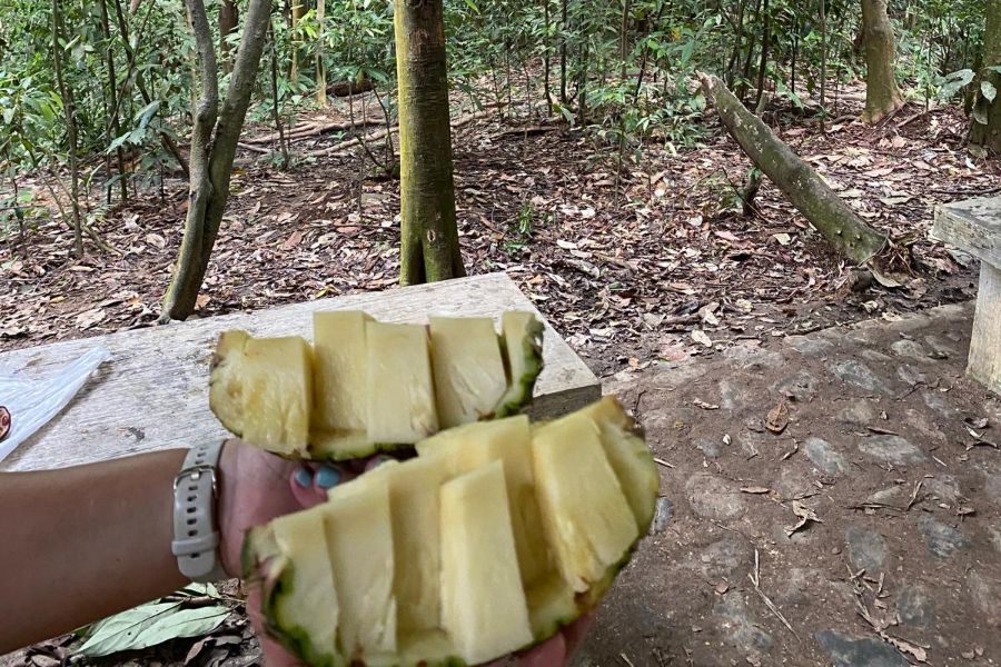 Bukit Lawang