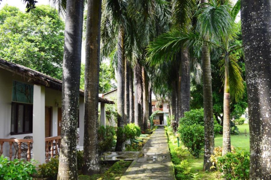 Chitwan Paradise