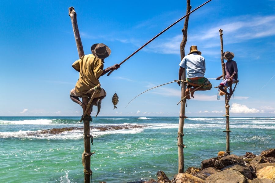 Dag 16: Sinharaja - Weligama