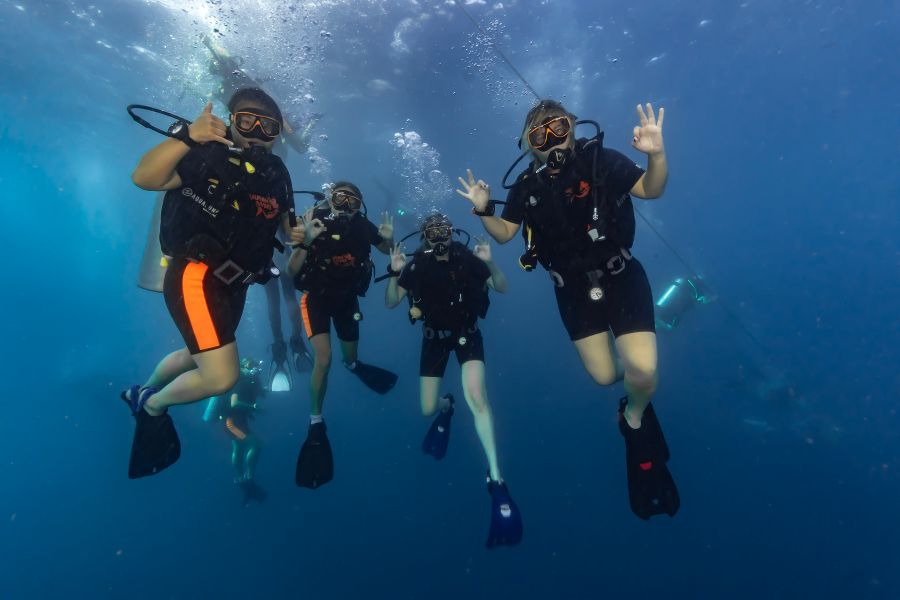 Duikcursus Koh Tao