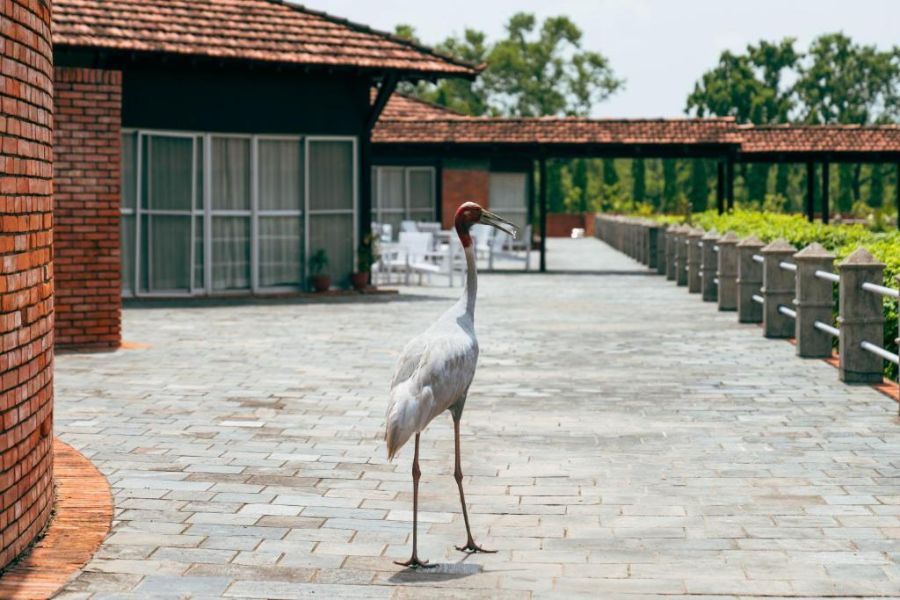 Lumbini Hokke Hotel
