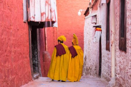 Gerelateerde tour 16-daagse rondreis Nepal & Tibet