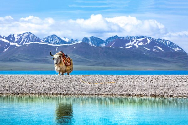 19-daagse rondreis Nepal & Tibet