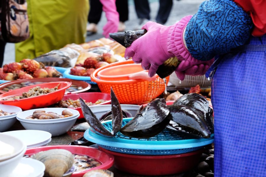Jagalchi Market