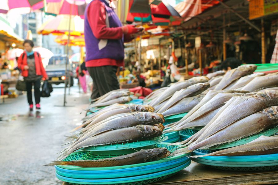 Jagalchi Market