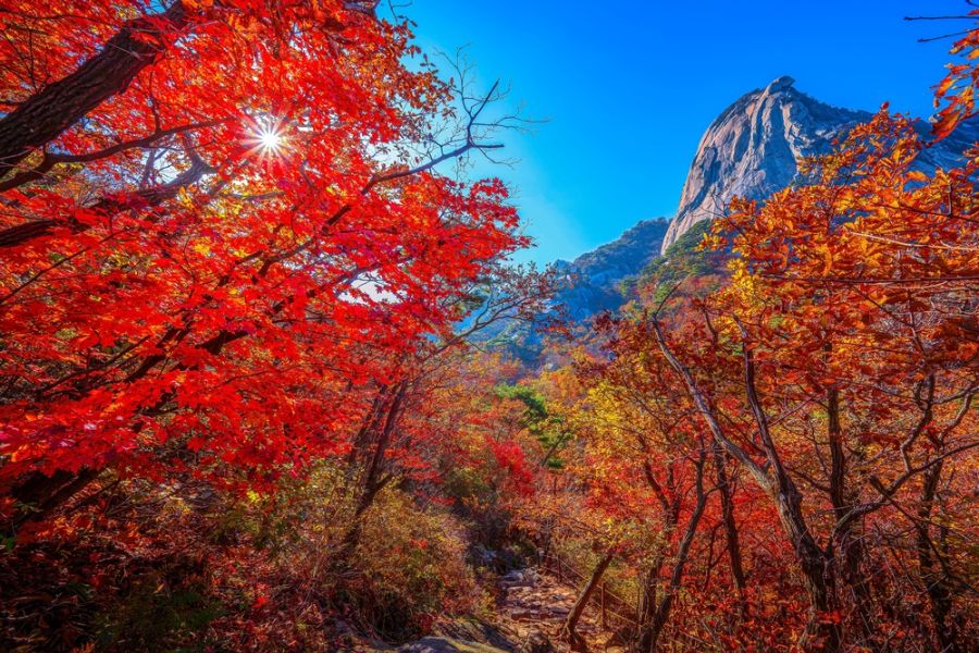 Bukhansan National Park