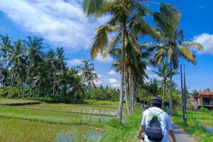 Fietstour Ubud (Bali)