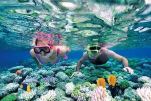 Snorkelen bij Gili Trawangan (Privé)