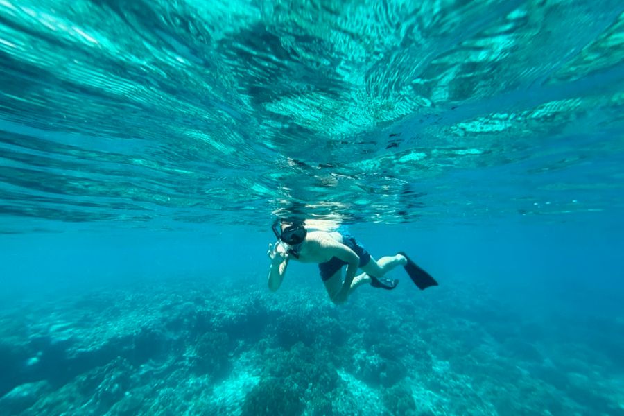 Snorkelen rondom Menjangan Island