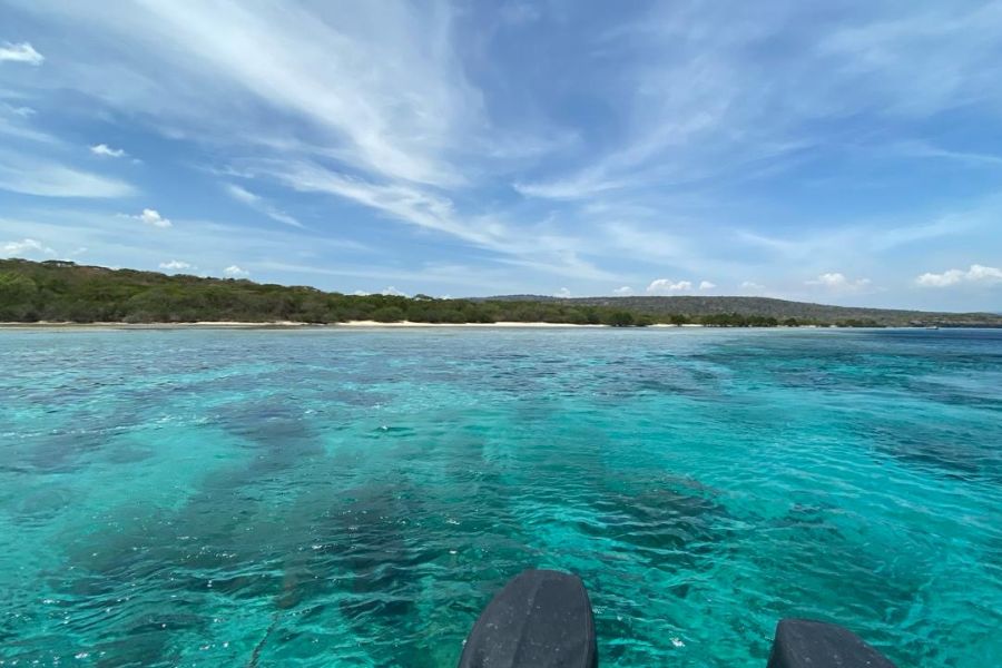 Snorkelen rondom Menjangan Island