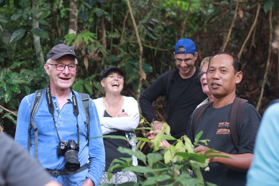 Orang-Oetans spotten op Sumatra