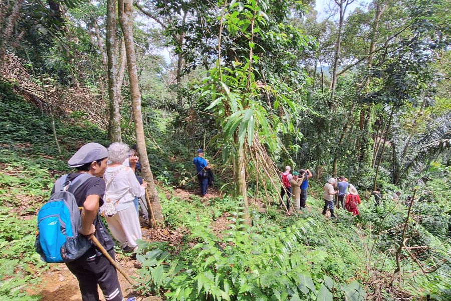 Orang-Oetans spotten op Sumatra